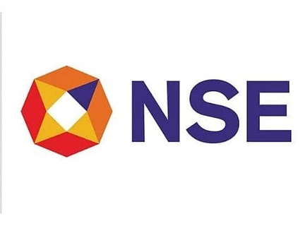 NSE logo